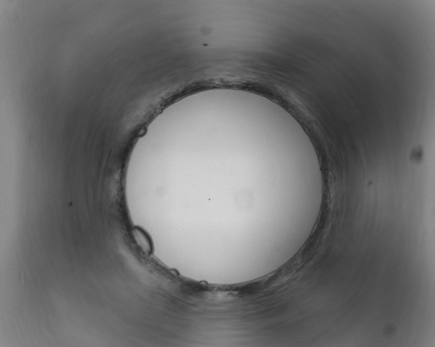 X0000111910451200907271039