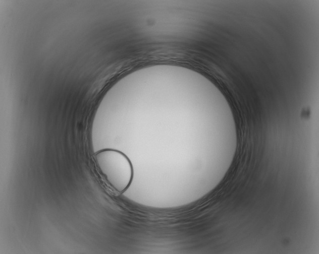 X0000111910452200907271039