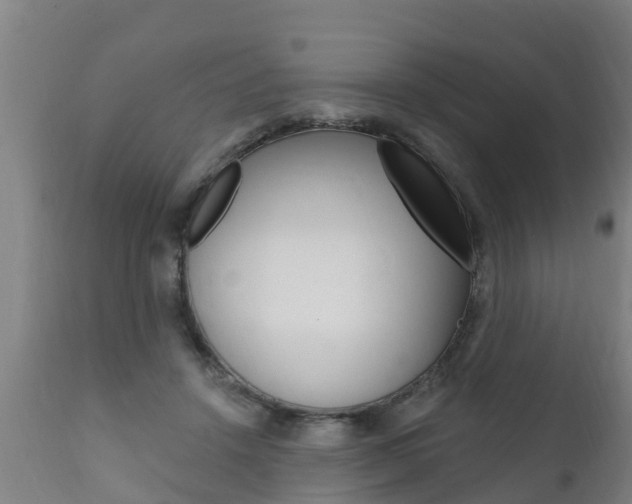 X0000111910456200907271039