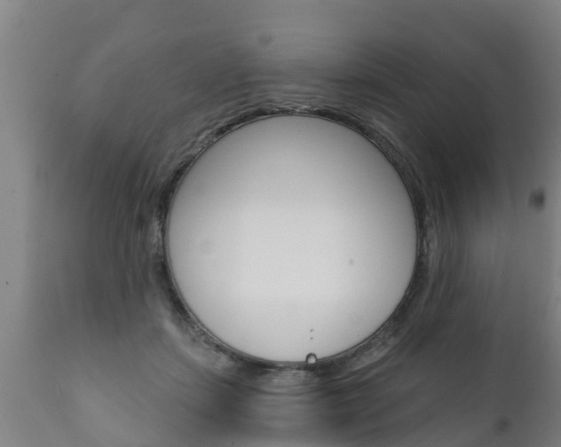X0000111910459200907271039