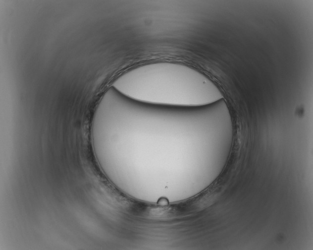 X0000111910461200907271039
