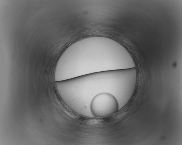 X0000111910465200907271039