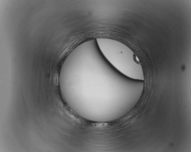 X0000111910474200907271039