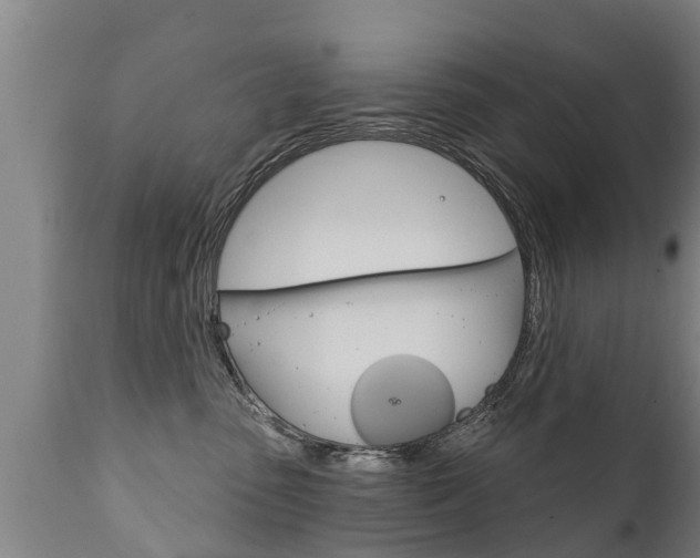 X0000111910475200907271039