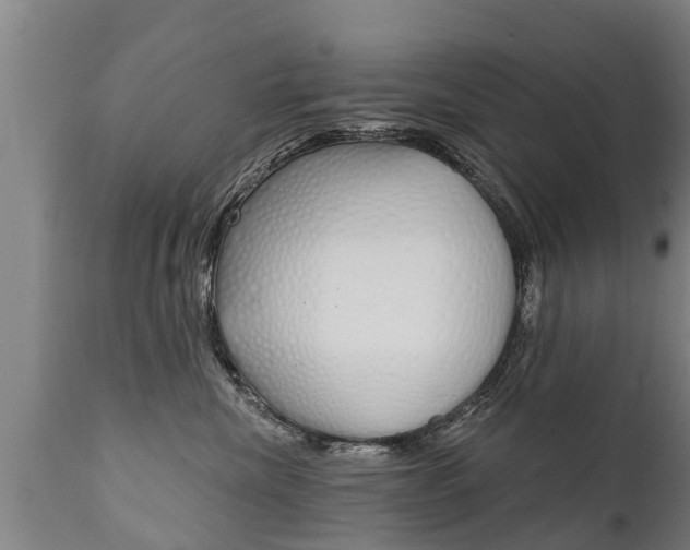 X0000111910476200907271039