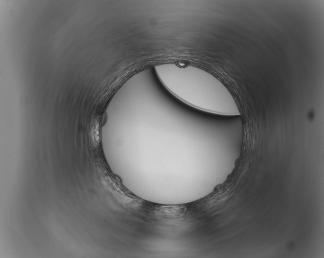 X0000111910479200907271039