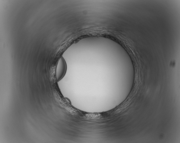 X0000111910480200907271039