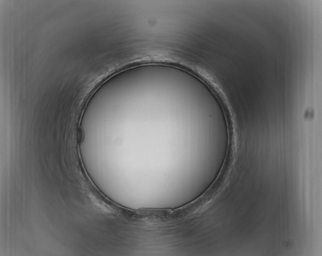 X0000111910481200907271038