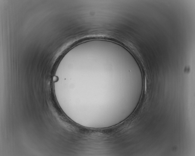 X0000111910483200907271038