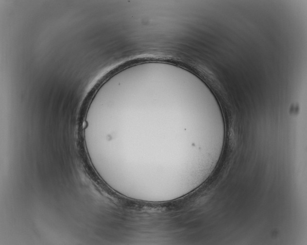 X0000111910484200907271038