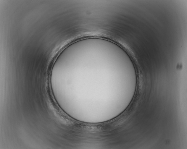 X0000111910486200907271038