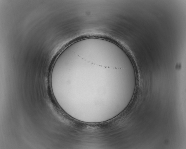 X0000111910487200907271038