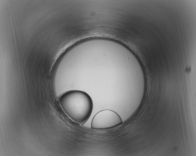 X0000111910488200907271038