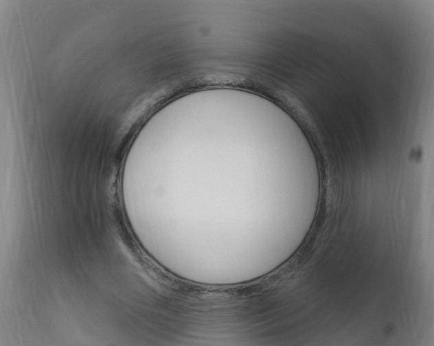 X0000111910490200907271038