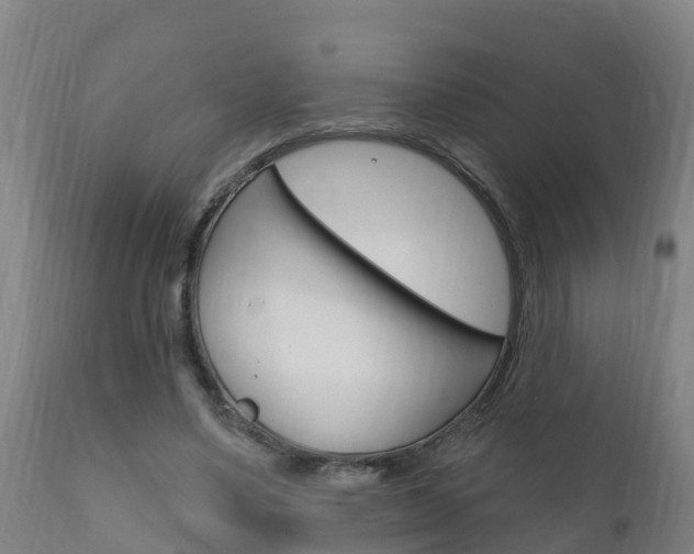 X0000111910491200907271038