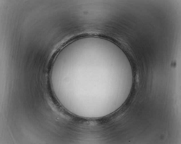 X0000111910492200907271038