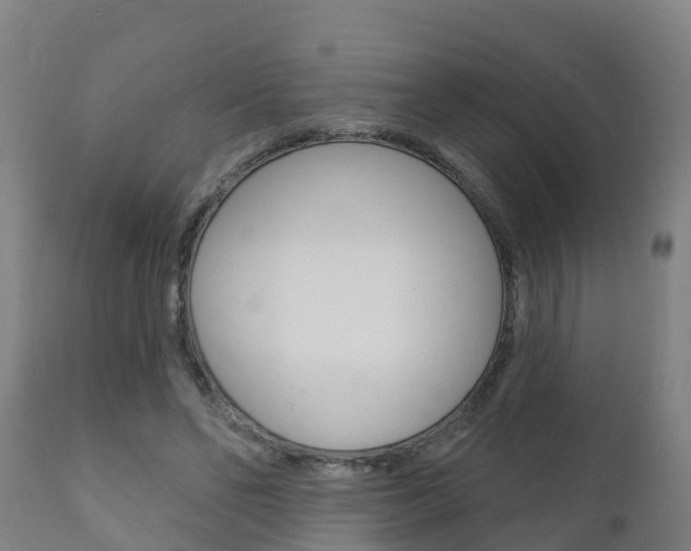 X0000111910494200907271038