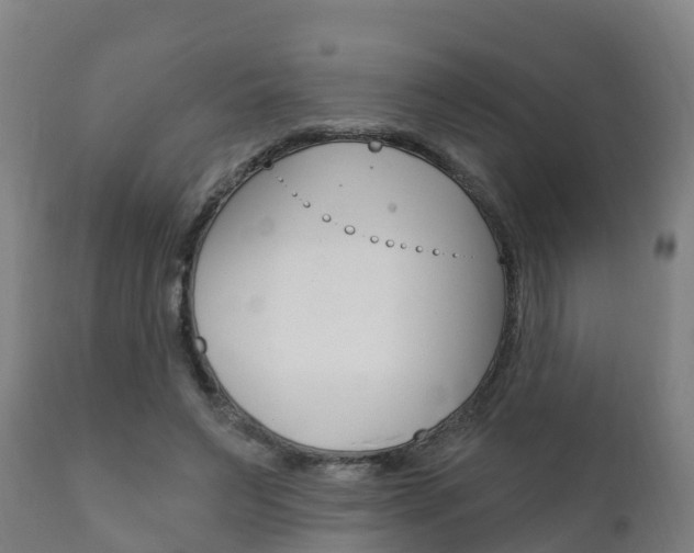 X0000111910495200907271038