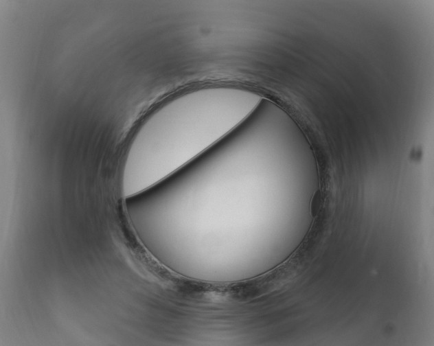 X0000111910496200907271038