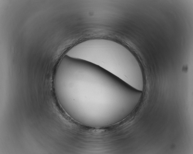 X0000111910497200907271038