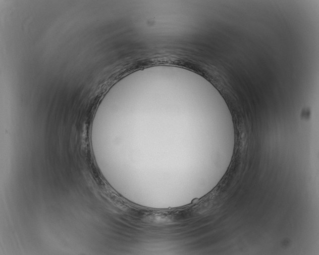 X0000111910498200907271038