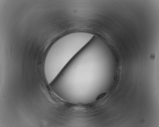 X0000111910500200907271038