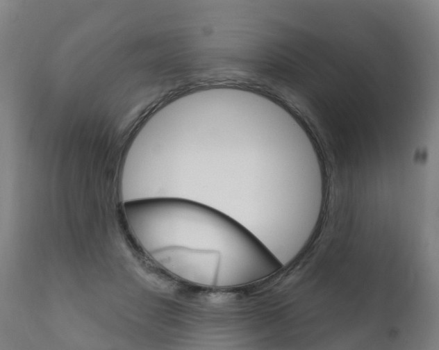 X0000111910501200907271038