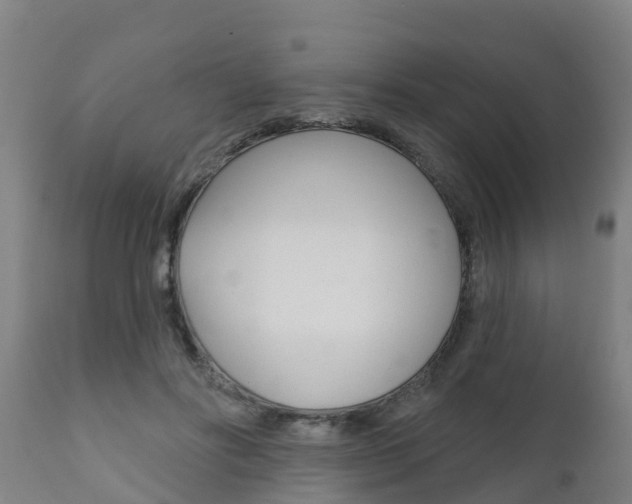 X0000111910502200907271038