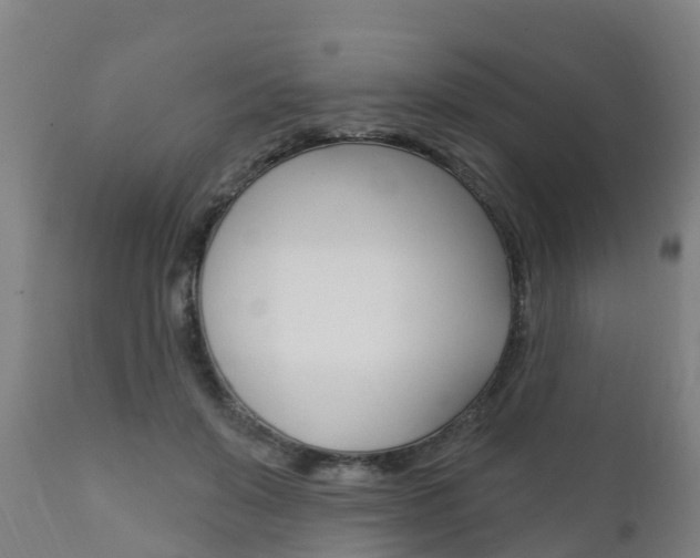 X0000111910503200907271038