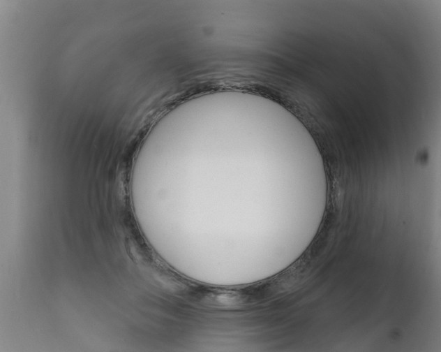 X0000111910506200907271038