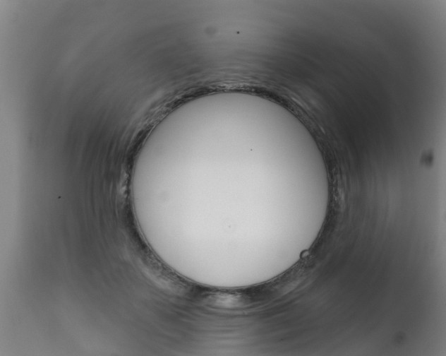 X0000111910507200907271038