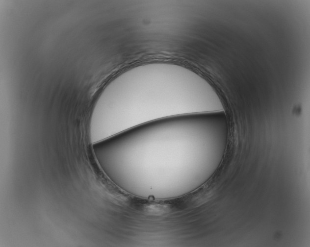 X0000111910508200907271038