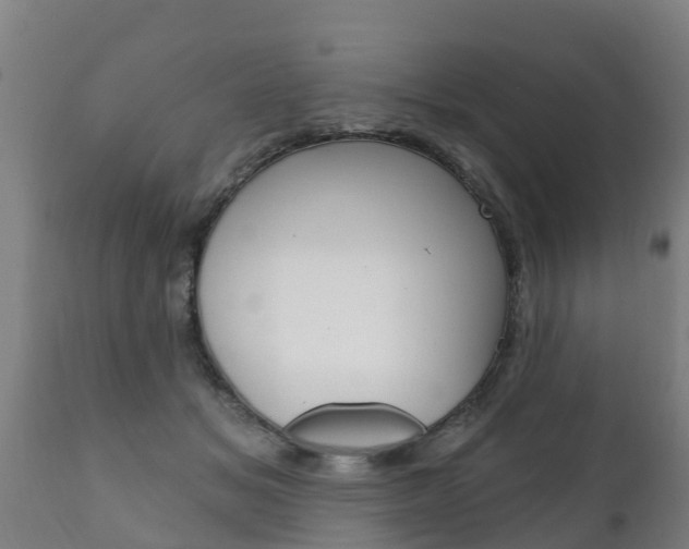X0000111910509200907271038