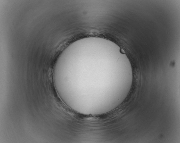 X0000111910511200907271038