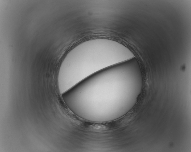 X0000111910512200907271038