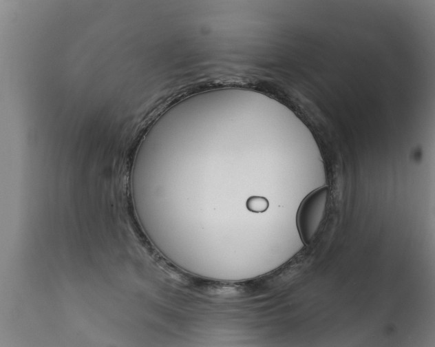 X0000111910513200907271038