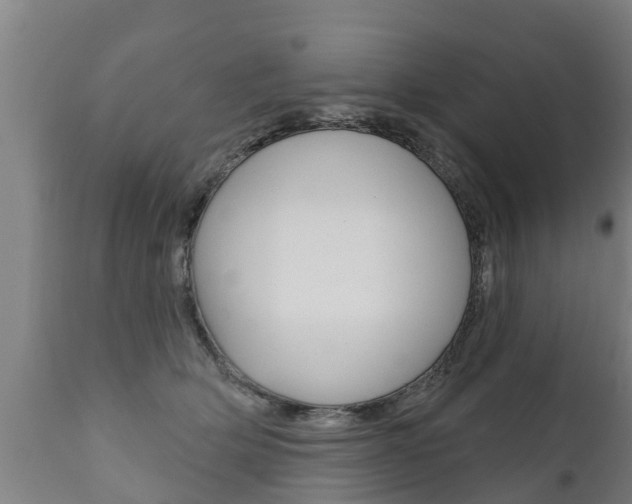 X0000111910514200907271038