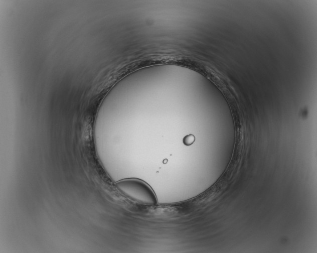 X0000111910517200907271038