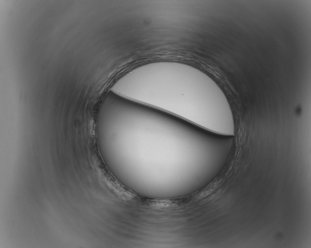 X0000111910521200907271038