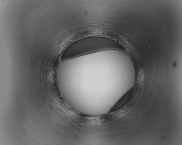 X0000111910524200907271038