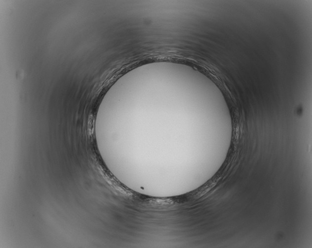 X0000111910525200907271038