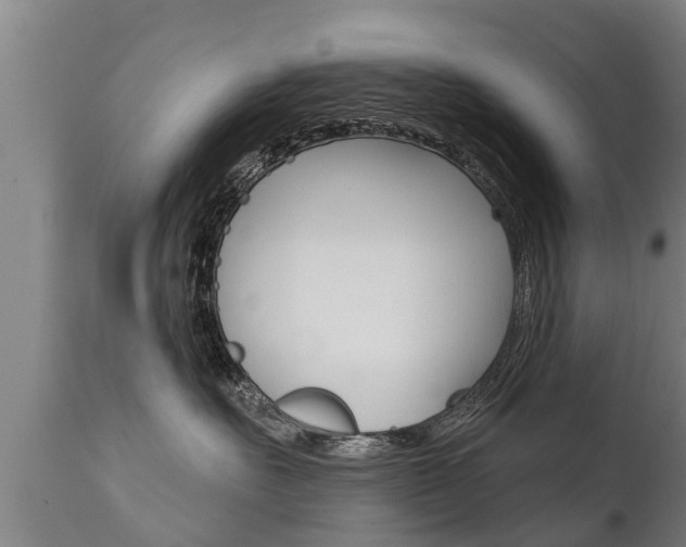 X0000111910527200907271038
