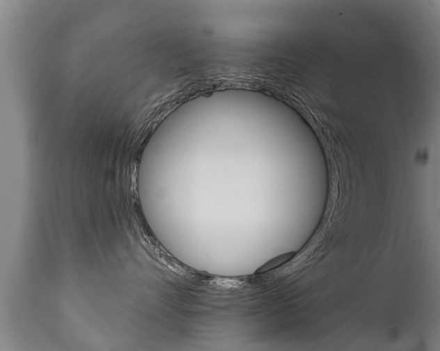 X0000111910528200907271038