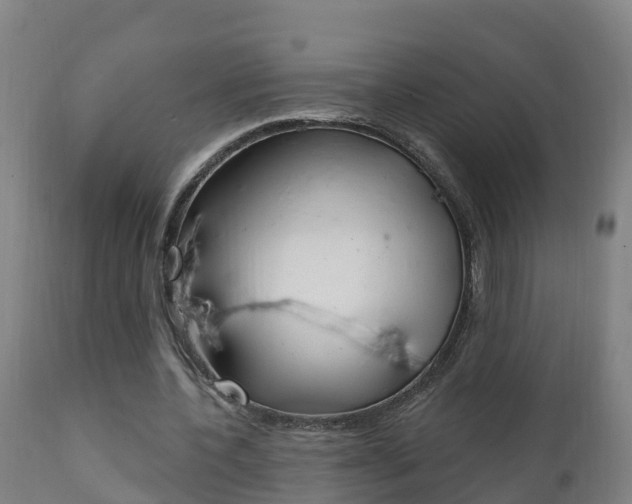 X0000111910532200907271037