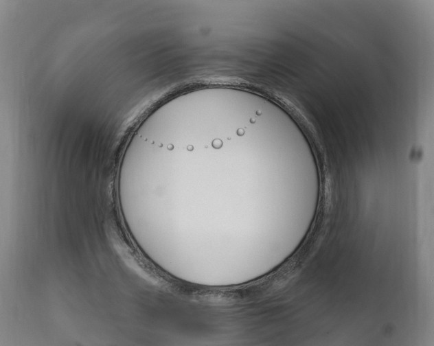 X0000111910533200907271037