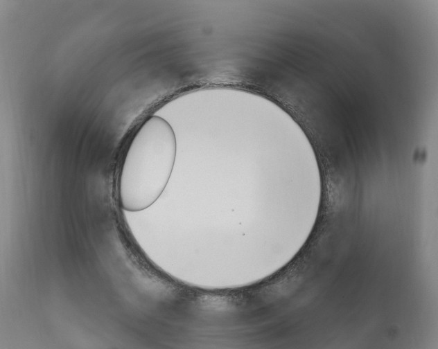 X0000111910534200907271037