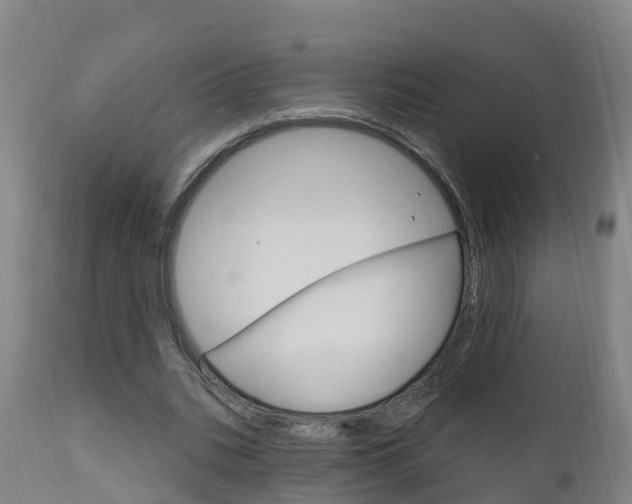 X0000111910535200907271037