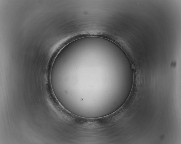 X0000111910536200907271037