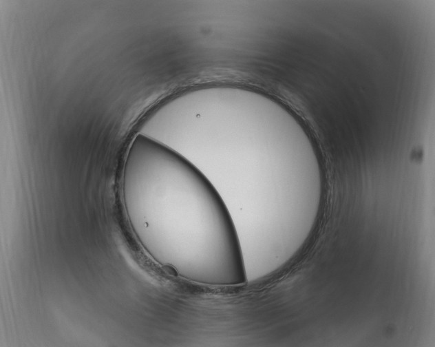 X0000111910538200907271037