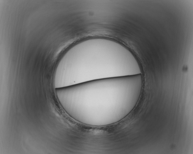 X0000111910539200907271037